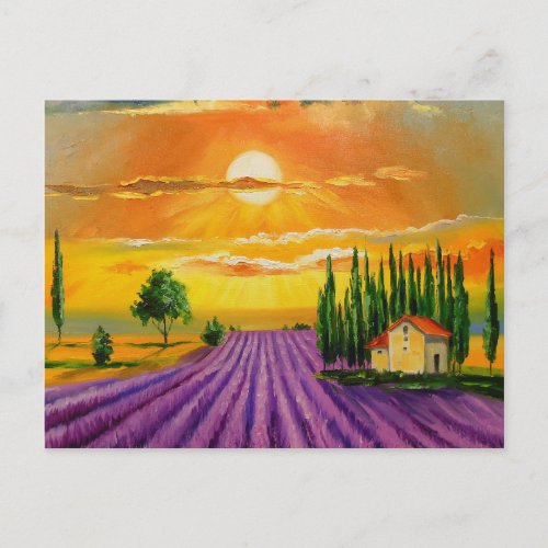 Lavender field at sunset postcard