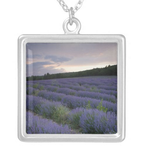 Lavender field at sunset silver plated necklace