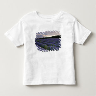 Lavender field at sunset toddler t-shirt
