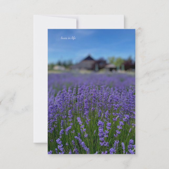 Lavender Field & Barn Note Card (Front)