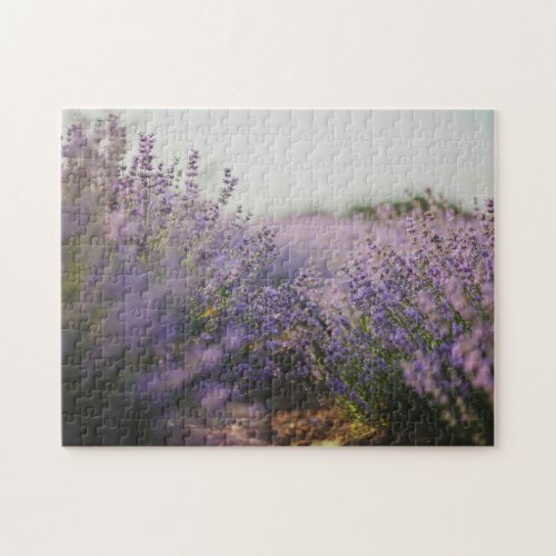 Lavender Field building Jigsaw Puzzle