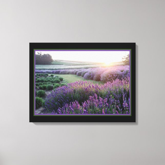 Lavender Field Canvas Print (Front)