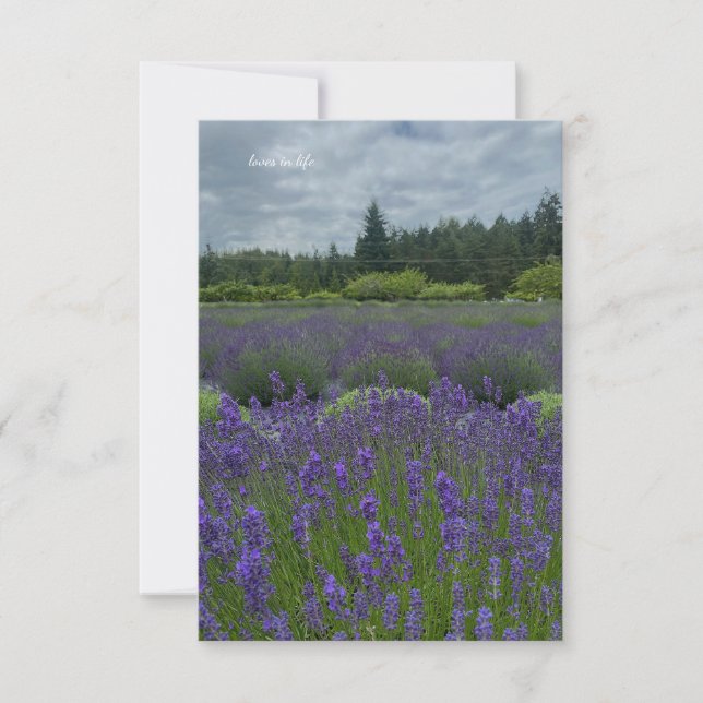 Lavender Field, Cloudy Day Note Card (Front)