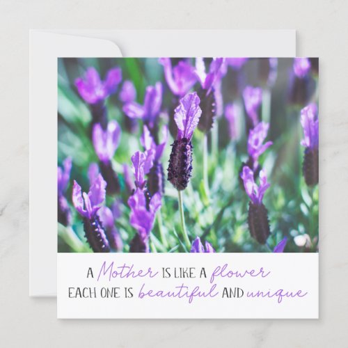 Lavender field floral mothers day purple flowers card