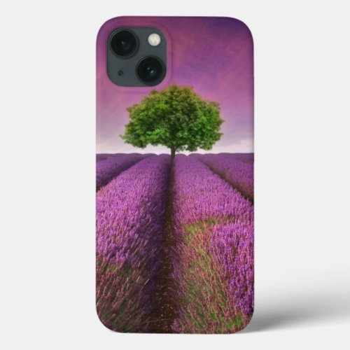 Lavender Field Landscape Summer Sunset iPhone 13 Case