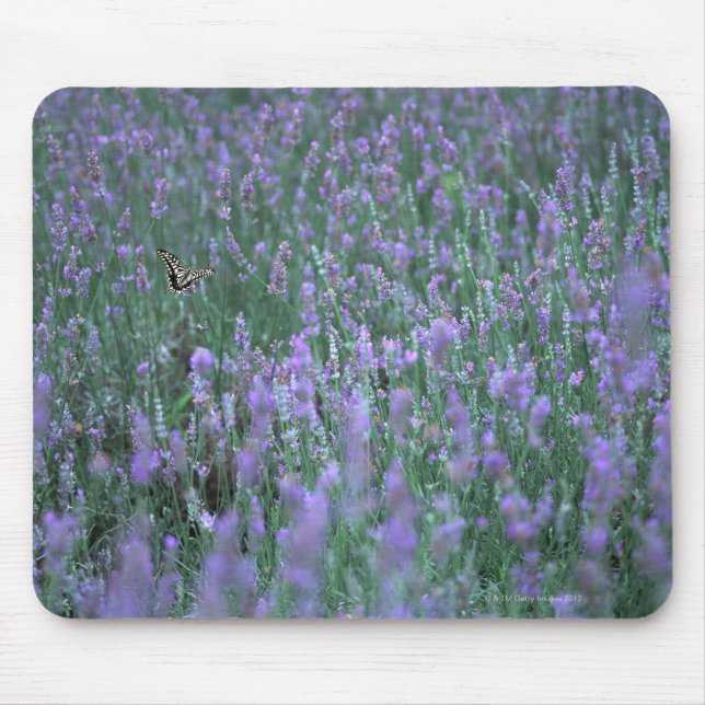 Lavender Field Mouse Pad (Front)