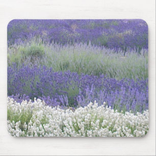 Lavender Field Mousepad