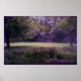 Lavender Field of Dreams Poster