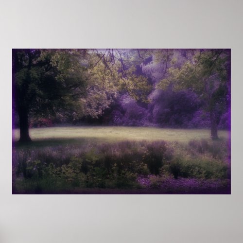 Lavender Field of Dreams Poster