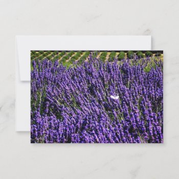 Lavender Field Personalized Blank Notecard by RiverJude at Zazzle
