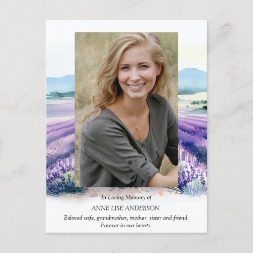 Lavender field provencal Memorial  Invitation Postcard