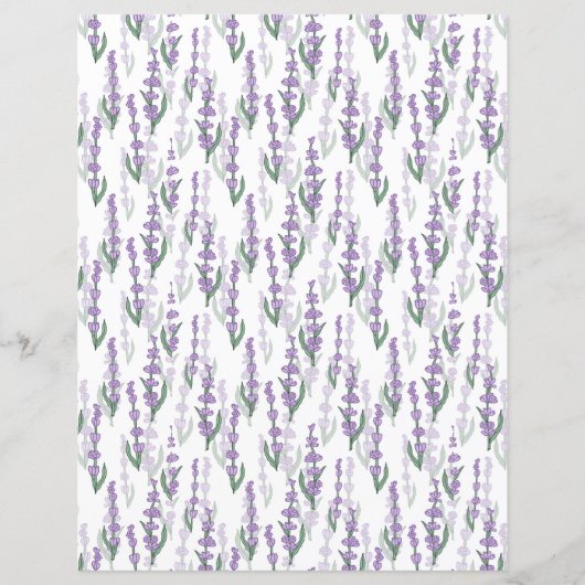 Lavender field provence purple flower (Front)