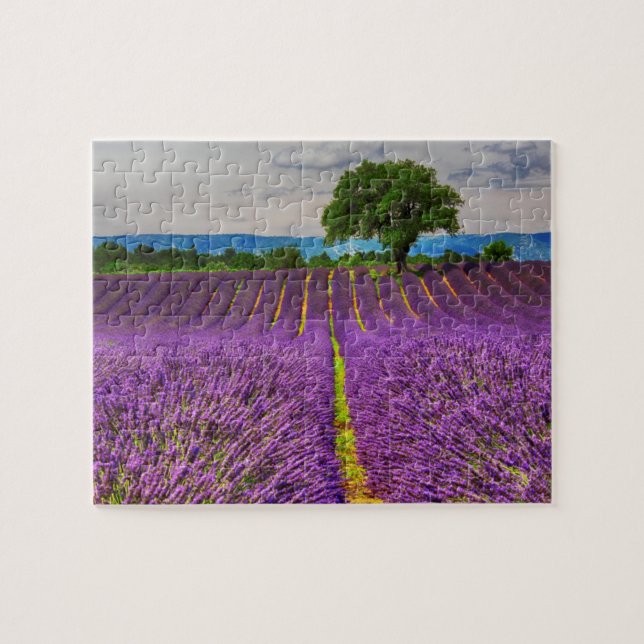 Lavender Field scenic, France Jigsaw Puzzle (Horizontal)