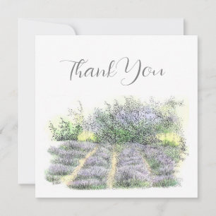 Lavender Field Thank You Card