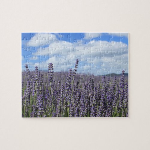 Lavender Field with Blue Sky and White Clouds Jigsaw Puzzle