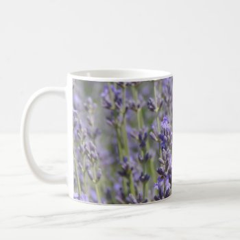 Lavender Fields Business Card Coffee Mug by Frankipeti at Zazzle