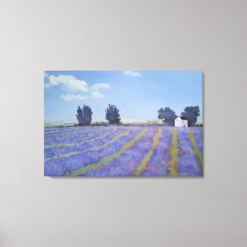 Lavender Fields Canvas Print