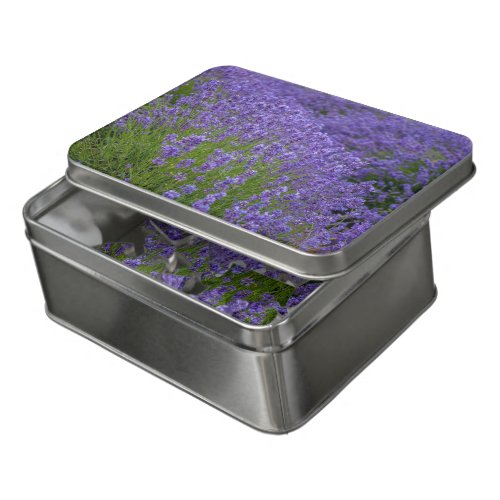 Lavender fields floral challenging jigsaw puzzle