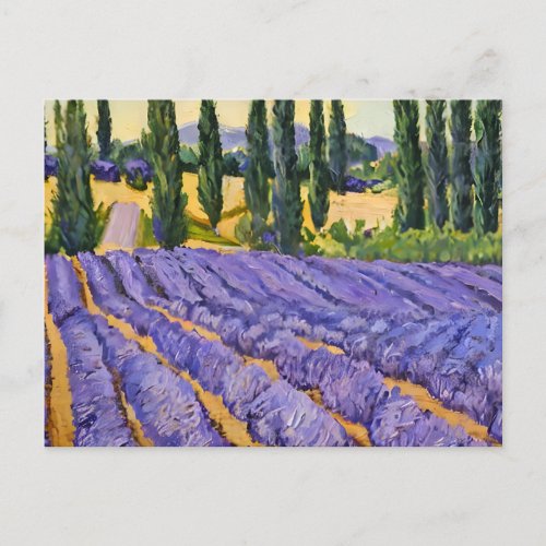 Lavender fields flowers postcard