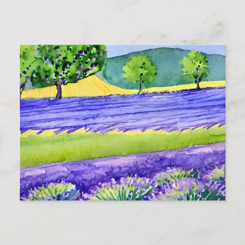 Lavender fields France Postcard