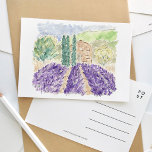 Lavender Fields France Watercolor Travel Postcard<br><div class="desc">A beautifully painted watercolor travel postcard featuring lavender fields in Provence,  France.</div>