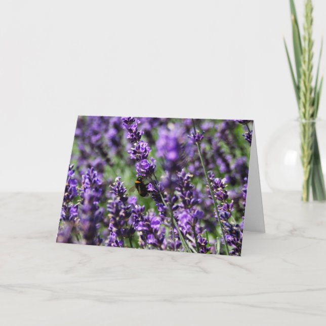 Lavender Fields Greeting Card (Front)
