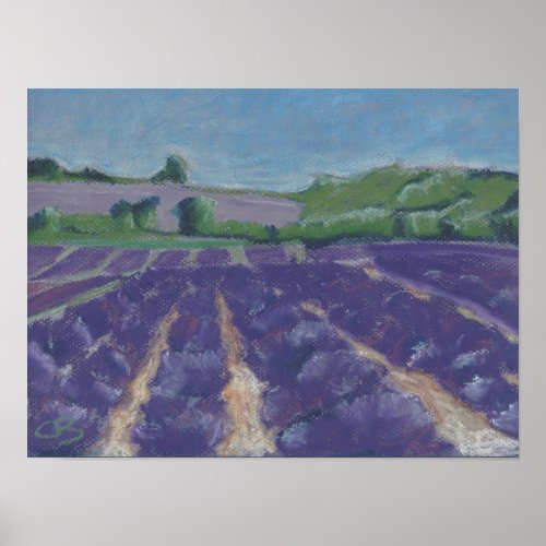 Lavender Fields in Provence _ France Poster