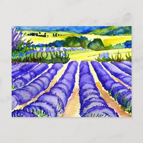 Lavender fields nature postcard