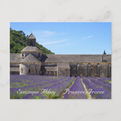 Lavender Fields of Senanque Abbey Postcard
