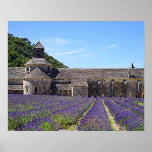 Lavender Fields of Senanque Abbey Poster