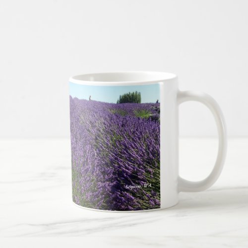 Lavender fields Sequim WA mug