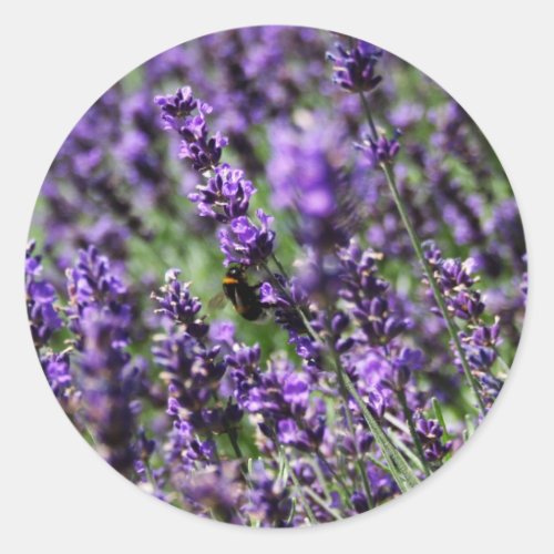Lavender Fields Stickers