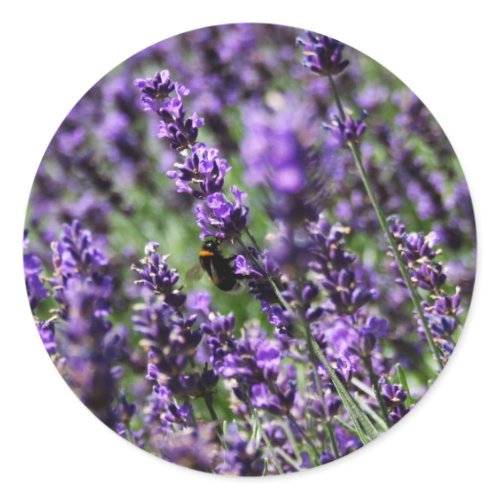 Lavender Fields Stickers