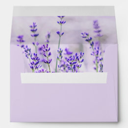 Lavender Fields Wedding Envelope