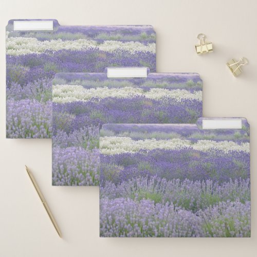 Lavender File Folders