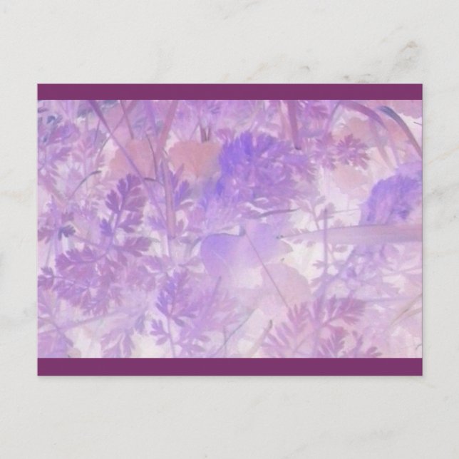 Lavender Floral Postcard (Front)