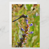 Lavender flower dragonfly (Front/Back)