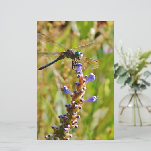 Lavender flower dragonfly (Standing Front)