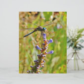 Lavender flower dragonfly (Standing Front)