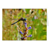 Lavender flower dragonfly (Front Horizontal)