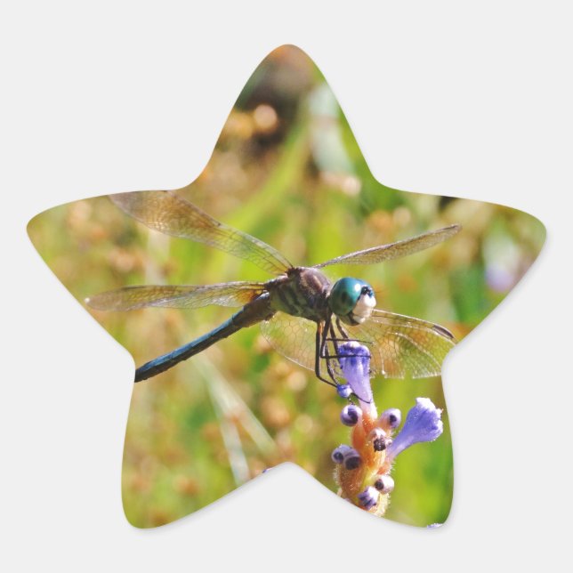 Lavender flower dragonfly star sticker (Front)
