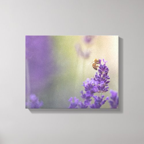 Lavender Flower Honeybee Nature Photo Canvas Print