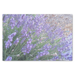 Lavender Flower Tissue Paper | Nature Photography
