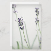 Lavender Flowers (Front/Back)