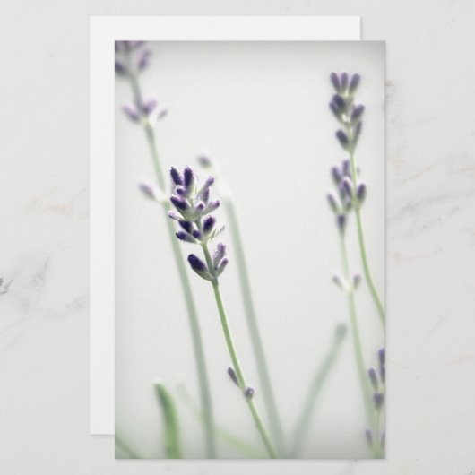 Lavender Flowers (Front/Back)