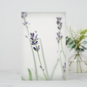 Lavender Flowers (Standing Front)