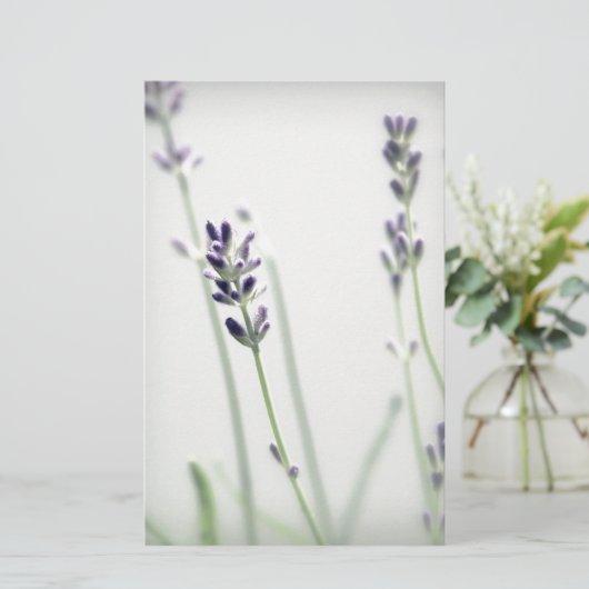 Lavender Flowers (Standing Front)