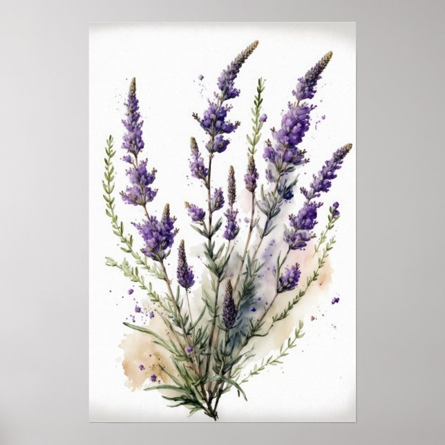 Lavender Flowers Art Print Poster (Front)
