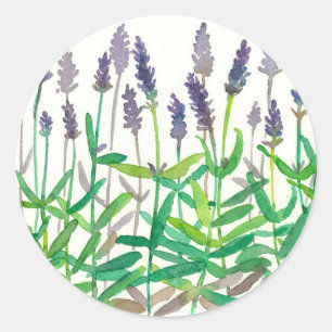 Lavender Flowers Botanical Watercolor Herbs Art Classic Round Sticker