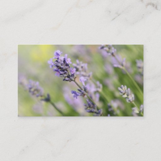 Customizable Lavender Flowers. Business Card